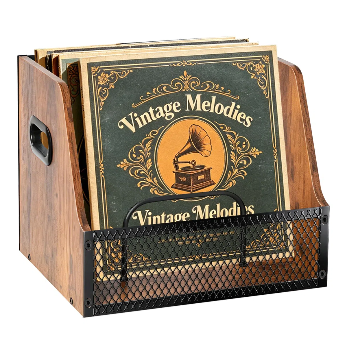 BILIONE Schallplatten Aufbewahrung - Holz & Metall Schallplatten Ständer für 7/10/12 Zoll Vinyl, Schallplattenhalter für bis zu 60 Schallplatten, Vinyl Aufbewahrung für Musikliebhaber