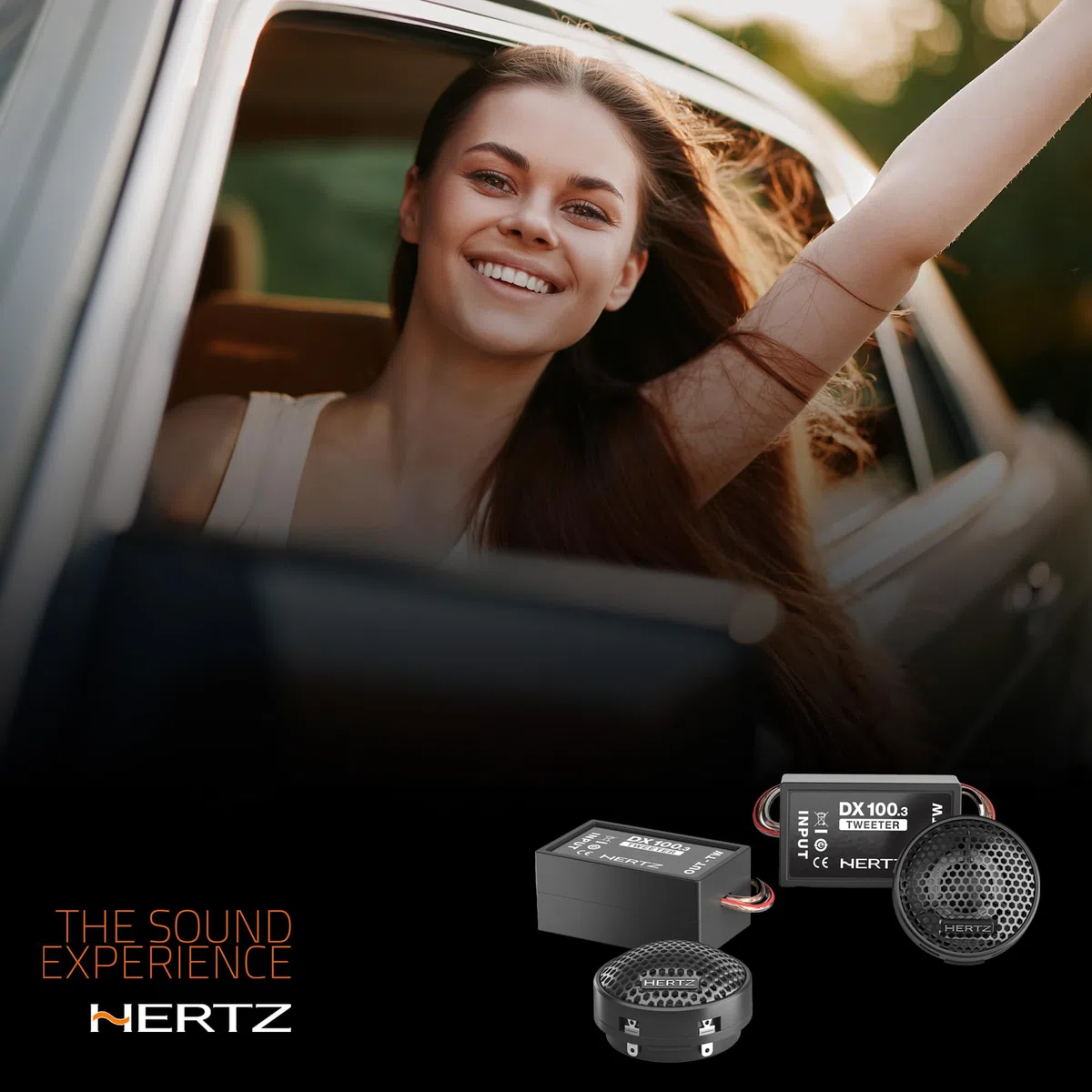 Hertz DT 24.3 – Paar 24 mm Hochtöner mit Neodym-Magnet und PEI-Kalotte, passiver Crossover inklusive, Brillante und präzise Wiedergabe, maximale Leistung 80W