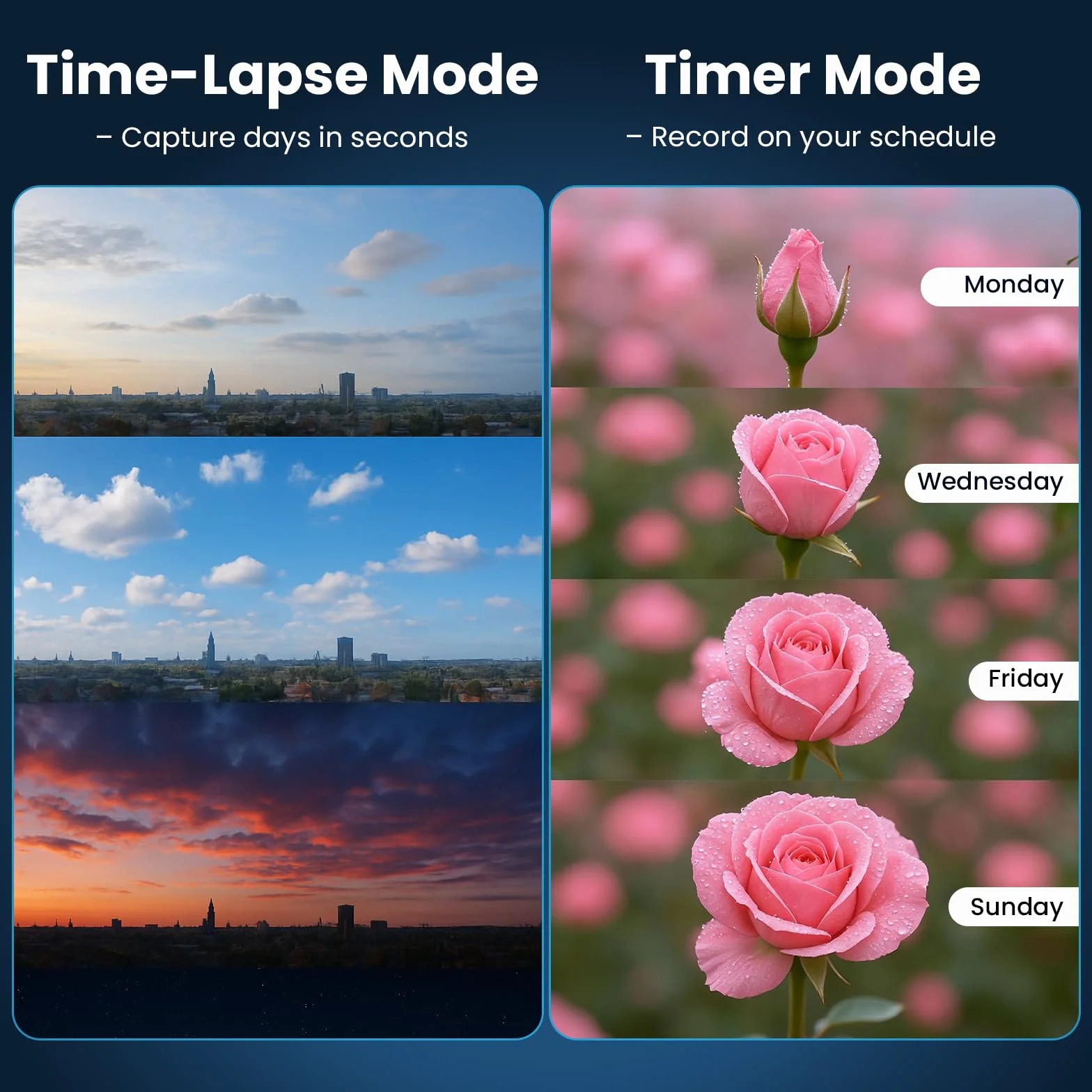 WiFi Zeitraffer Kamera 4K AVI Video, 48MP-Fotos Zeitrafferkamera mit LED-Fülllicht, 180 Tage Aufnahme Wiederaufladbare Time Lapse Kamera für Baustellen, Pflanzen, Gartenarbeit, Kochen (32GB-Karte)