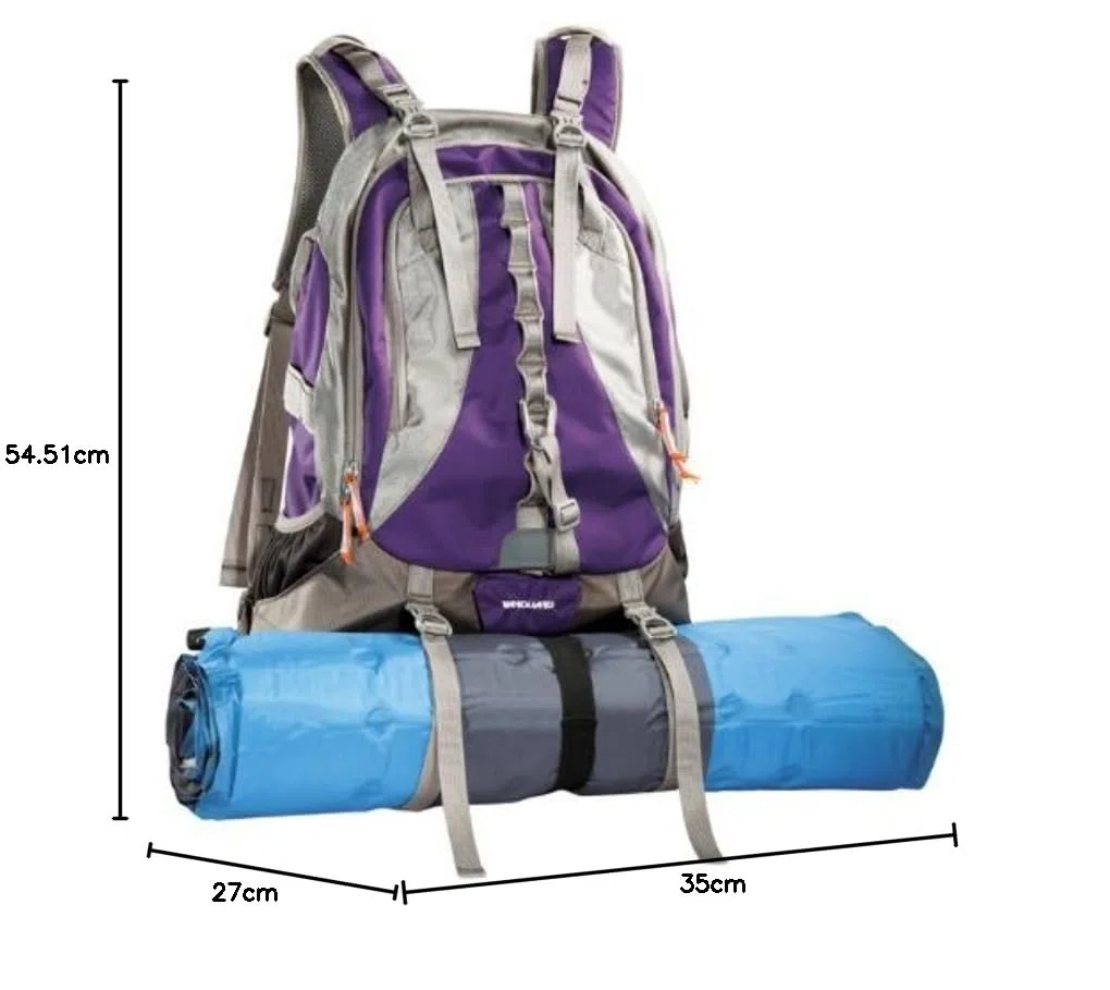 Vanguard Kinray 53 SLR-Kamerarucksack violett