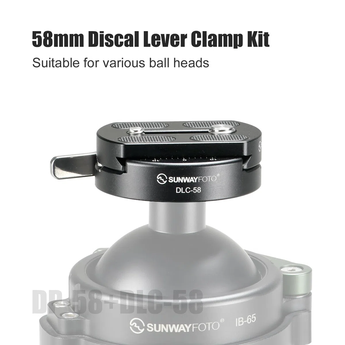 SUNWAYFOTO 58 mm Discal-Hebelklemme und Arca Swiss-Plattensatz, mit 1/4-20- und 3/8-16-Schrauben (DLC-58+DP-58)