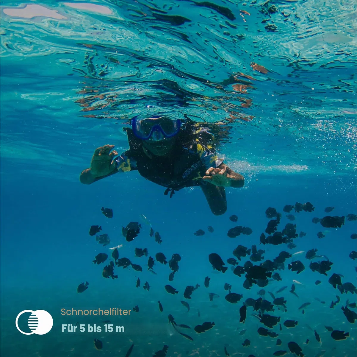 PolarPro - DiveMaster - für Hero 9/10/11 Schwarz - Schutzgehäuse - Schnell und sicher - Fangen Sie leuchtende Farben in blauen, grünen und flachen Gewässern EIN - Tauchen