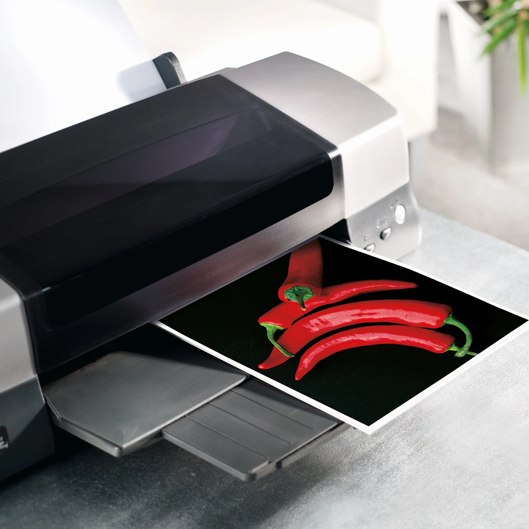 SIGEL IP641 InkJet-Fotopapier Ultra, A4, 50 Blatt, hochglänzend, extrem lichtbeständig, 260 g , für hochwertige Fotografien